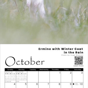 2026 Wildlife Calendar